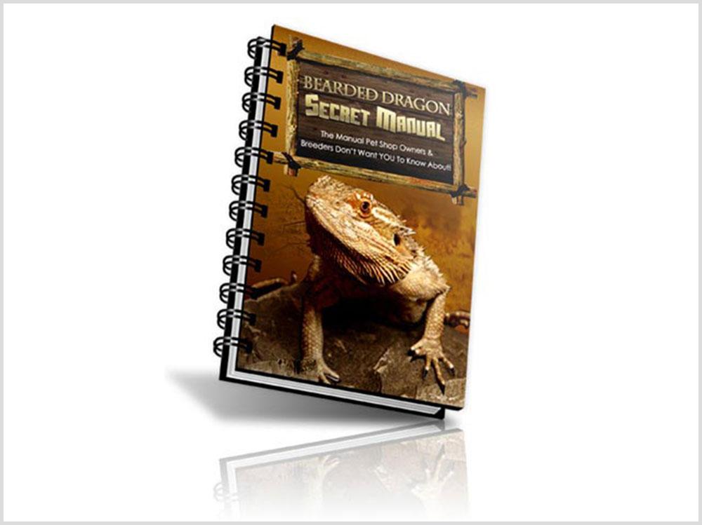 Bearded Dragon Secret Manual Review