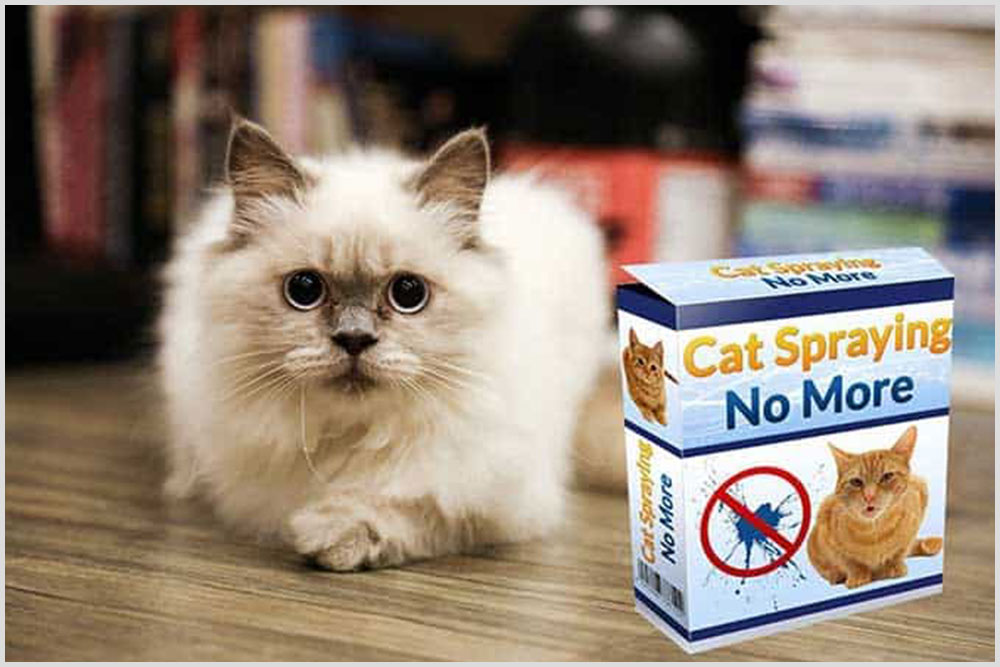 Cat Spraying No More Review – Does It Book Work Or Scam?