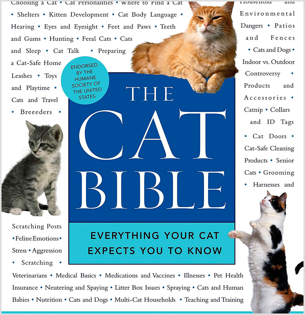 Cat Language Bible Review – Does It Book Work Or Scam?